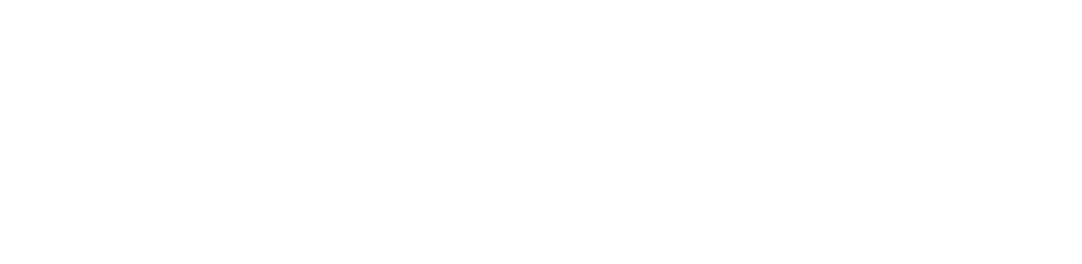 Zolaymi WooCommerce Services
